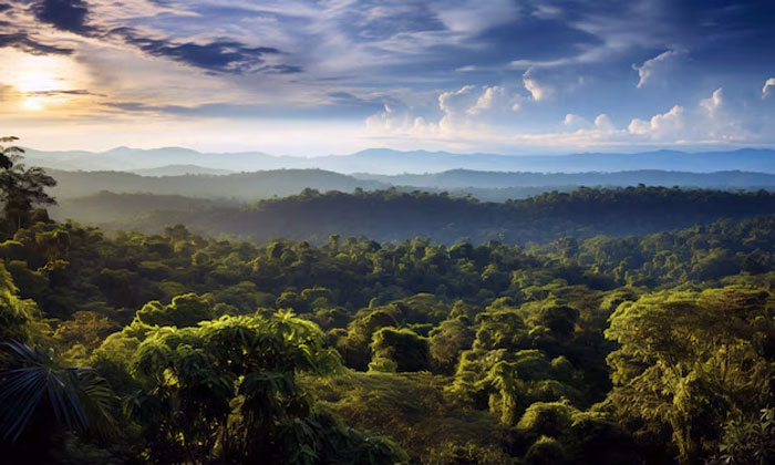 hutan amazon penghasil utama oksigen