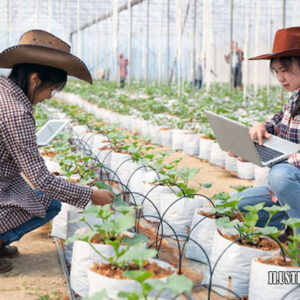 penggunaan iot dan big data untuk agrikultur cerdas